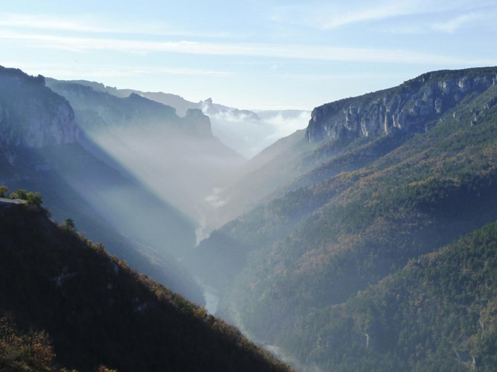Gite La Cerise Qui Rit La Cresse ภายนอก รูปภาพ