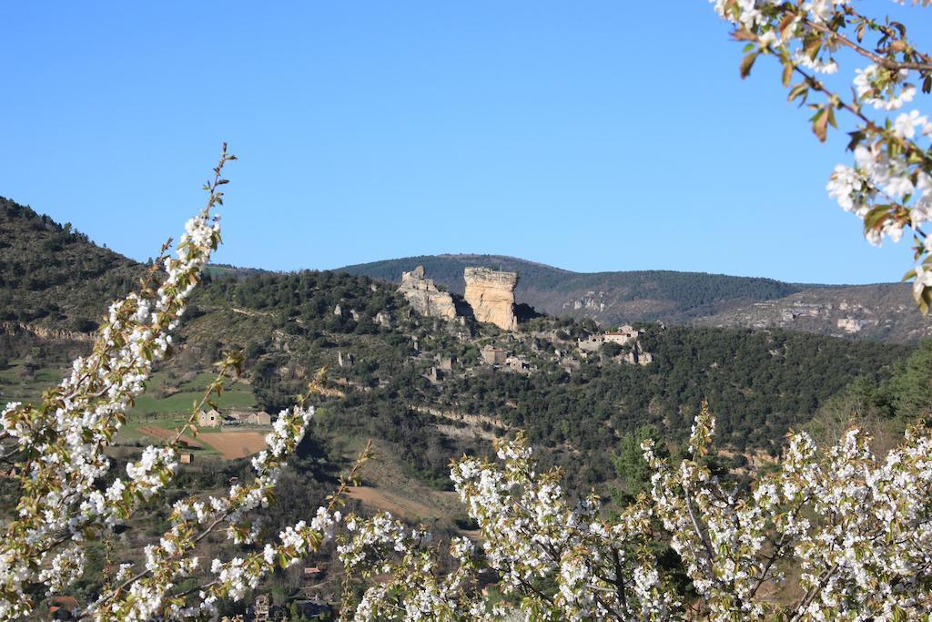 Gite La Cerise Qui Rit La Cresse ภายนอก รูปภาพ